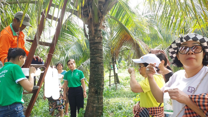 Về chơi xứ dừa, quá đã! - Ảnh 1.