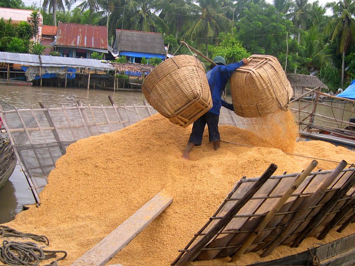 Tạo năng lượng sạch từ trấu - Ảnh 3.