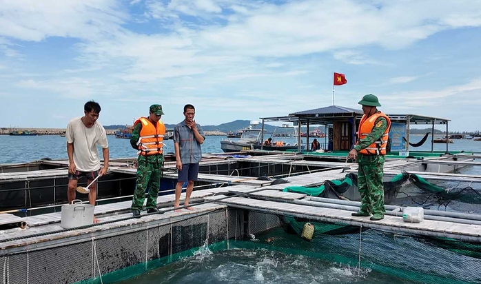 Quân khu 3 thành lập sở chỉ huy ứng phó bão số 11 tại Quảng Ninh - Ảnh 3. Quân khu 3 thành lập sở chỉ huy ứng phó bão số 11 tại Quảng Ninh - Ảnh 3.