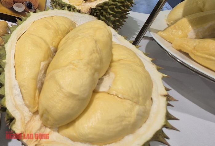 Giá sầu riêng hôm nay 6 - 10: Tăng vọt do cung không đủ cầu - Ảnh 2.