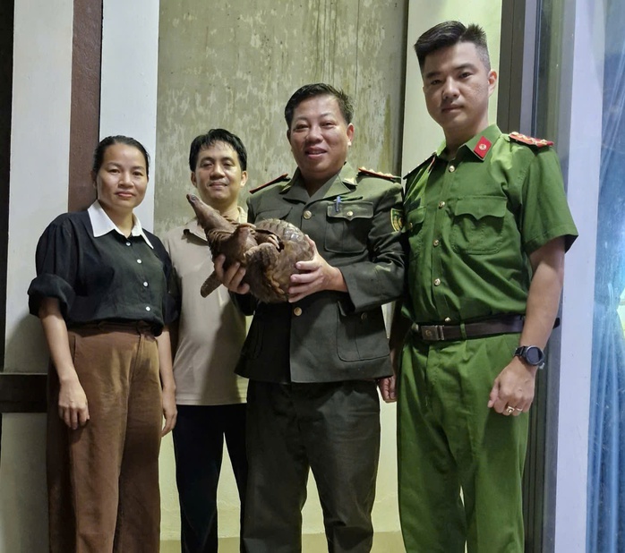 Giữa mưa lớn kéo dài, người dân bắt được con vật quý hiếm, nặng gần 4 kg - Ảnh 1. Giữa mưa lớn kéo dài, người dân bắt được con vật quý hiếm, nặng gần 4 kg - Ảnh 1.