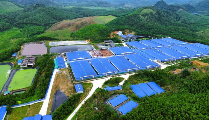 Một xã ở Thanh Hóa "cõng" 7 trang trại heo quy mô gần 100.000 con - Ảnh 1.