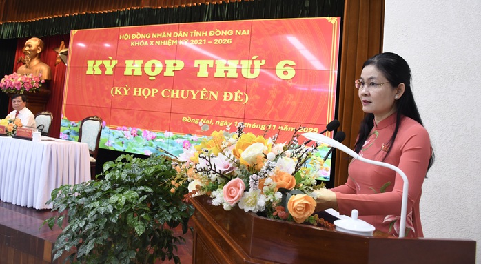 Quyết định xây dựng cầu Cát Lái , Phú Mỹ 2 kết nối Đồng Nai và TP HCM - Ảnh 1.