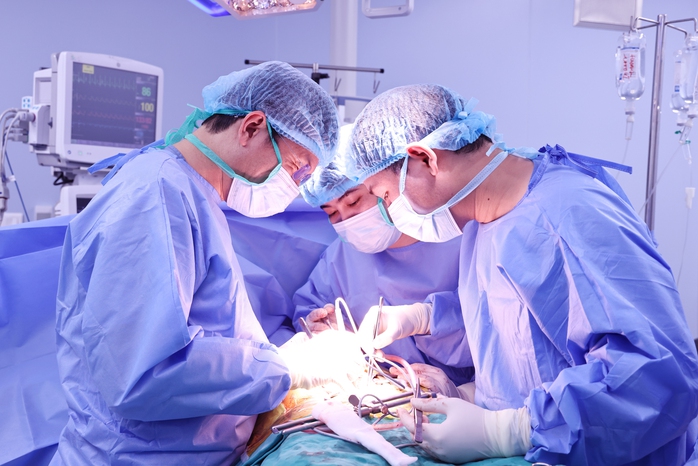 Chia lá gan trong ổ bụng, hồi sinh hai cuộc đời - Ảnh 2.