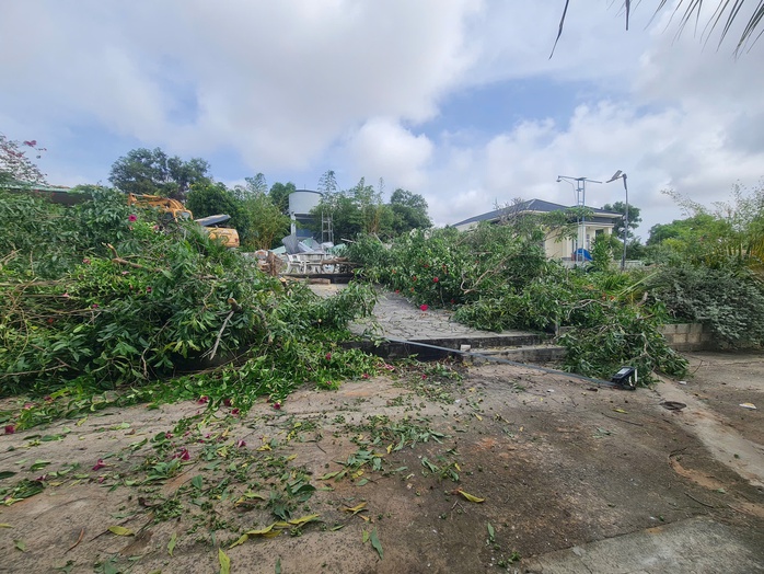 Đang cưỡng chế thu hồi hơn 66.000 m² đất lấn chiếm tại Đồi Cát Bay Mũi Né - Ảnh 1.