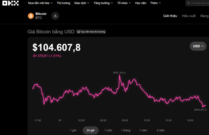Thị trường tiền số hôm nay: Bitcoin lao dốc , điều gì đang xảy ra với giá cả? - Ảnh 1.