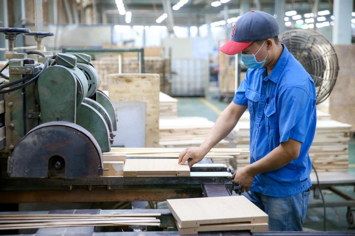 Kinh tế tư nhân - Động lực phải thành thực tế - Ảnh 1.