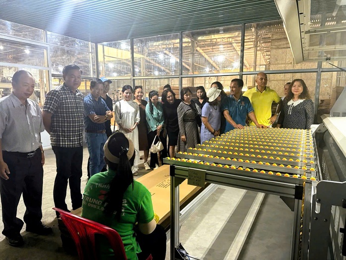 Hội Doanh nghiệp Bình Thuận – tỉnh Lâm Đồng: Gắn kết, lắng nghe và sẻ chia cùng hội viên - Ảnh 1.