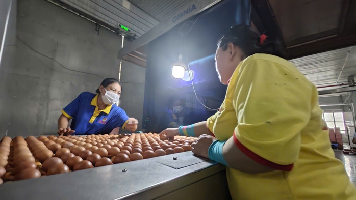 Ba Huân bị nợ thuế hơn 51 tỉ đồng và những thông tin cần biết - Ảnh 1.