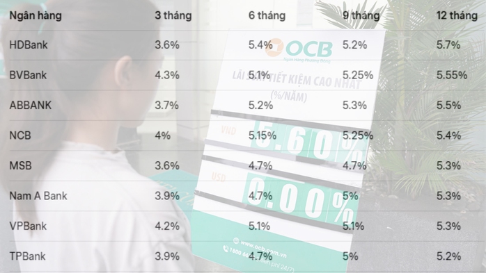 Giữ ổn định lãi suất cho vay - Ảnh 1.