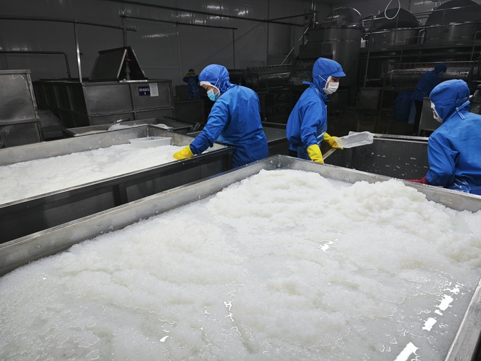 Kinh tế tư nhân - Động lực phải thành thực tế: Trợ lực để kinh tế tư nhân chuyển mình - Ảnh 1. Kinh tế tư nhân - Động lực phải thành thực tế: Trợ lực để kinh tế tư nhân chuyển mình - Ảnh 1.