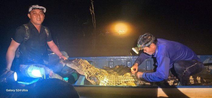 Hốt hoảng cá sấu dài 2m dính lưới trên sông Cái Cỏ Tây Ninh - Ảnh 2.