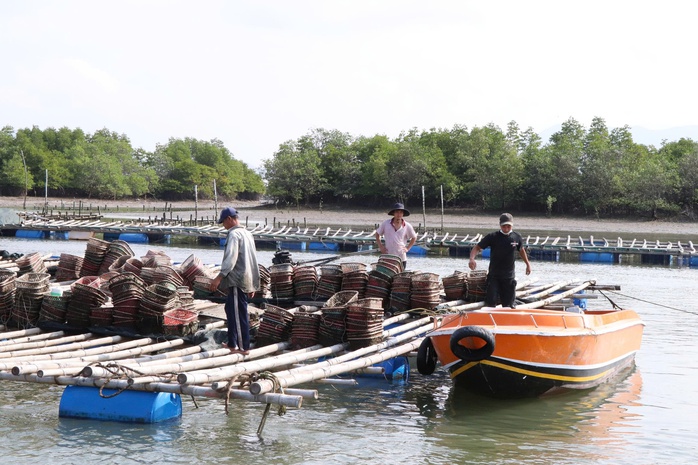 Từ nghề nuôi truyền thống trở thành thương hiệu du lịch - Ảnh 3.