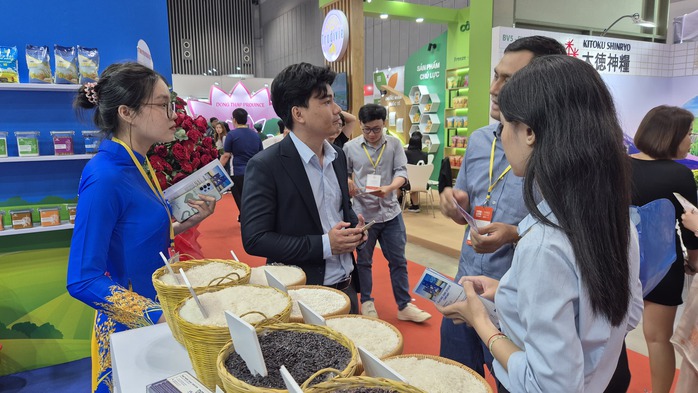 Gạo xuất khẩu Việt Nam trước thách thức mới - Ảnh 1.