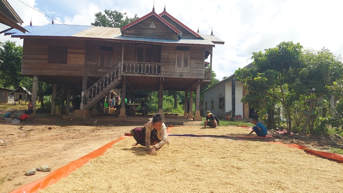 Dẻo thơm hạt lúa, lấp lánh tình người - Ảnh 6.