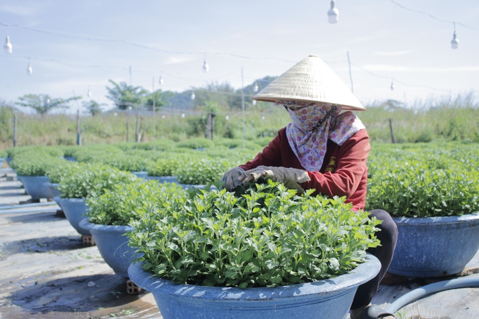 Làng nghề làm đẹp cho mùa Xuân - Ảnh 1.