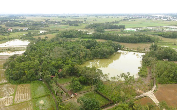 Xây dựng phương án chuyển đàn hổ 9 con ra Vườn thú Hà Nội - Ảnh 4.