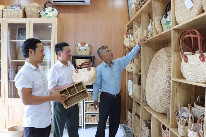 Đưa sản phẩm mỹ nghệ từ cây lục bình xuất ngoại - Ảnh 1.