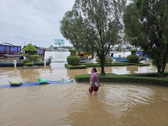 Cần Thơ dự báo ngập sâu 35 cm trong đợt triều cường đầu tháng 10 âm lịch - Ảnh 1. Cần Thơ dự báo ngập sâu 35 cm trong đợt triều cường đầu tháng 10 âm lịch - Ảnh 1.