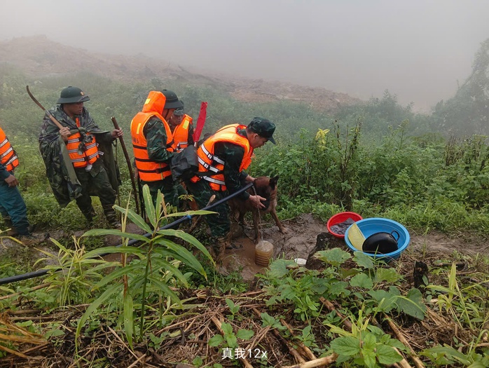 Cảnh khuyển tìm kiếm nạn nhân vụ lở núi ở Đà Nẵng: Hình ảnh đầy cảm động - Ảnh 9. Cảnh khuyển tìm kiếm nạn nhân vụ lở núi ở Đà Nẵng: Hình ảnh đầy cảm động - Ảnh 9.