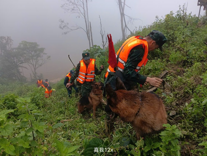 Cảnh khuyển tìm kiếm nạn nhân vụ lở núi ở Đà Nẵng: Hình ảnh đầy cảm động - Ảnh 8. Cảnh khuyển tìm kiếm nạn nhân vụ lở núi ở Đà Nẵng: Hình ảnh đầy cảm động - Ảnh 8.
