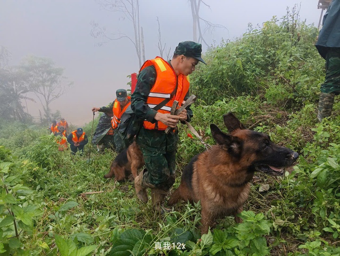 Cảnh khuyển tìm kiếm nạn nhân vụ lở núi ở Đà Nẵng: Hình ảnh đầy cảm động - Ảnh 7. Cảnh khuyển tìm kiếm nạn nhân vụ lở núi ở Đà Nẵng: Hình ảnh đầy cảm động - Ảnh 7.