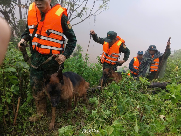 Cảnh khuyển tìm kiếm nạn nhân vụ lở núi ở Đà Nẵng: Hình ảnh đầy cảm động - Ảnh 11. Cảnh khuyển tìm kiếm nạn nhân vụ lở núi ở Đà Nẵng: Hình ảnh đầy cảm động - Ảnh 11.