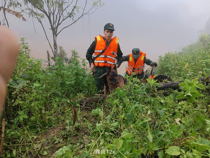 Cảnh khuyển tìm kiếm nạn nhân vụ lở núi ở Đà Nẵng: Hình ảnh đầy cảm động - Ảnh 10. Cảnh khuyển tìm kiếm nạn nhân vụ lở núi ở Đà Nẵng: Hình ảnh đầy cảm động - Ảnh 10.