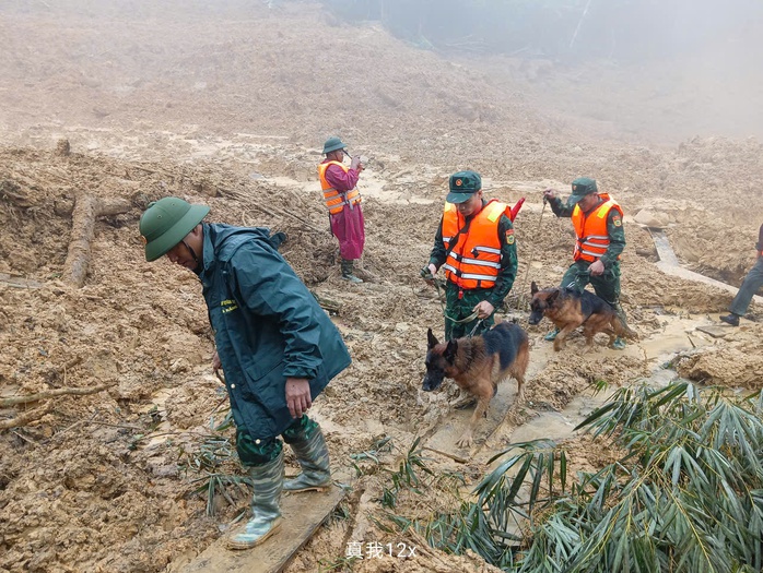 Cảnh khuyển tìm kiếm nạn nhân vụ lở núi ở Đà Nẵng: Hình ảnh đầy cảm động - Ảnh 15. Cảnh khuyển tìm kiếm nạn nhân vụ lở núi ở Đà Nẵng: Hình ảnh đầy cảm động - Ảnh 15.