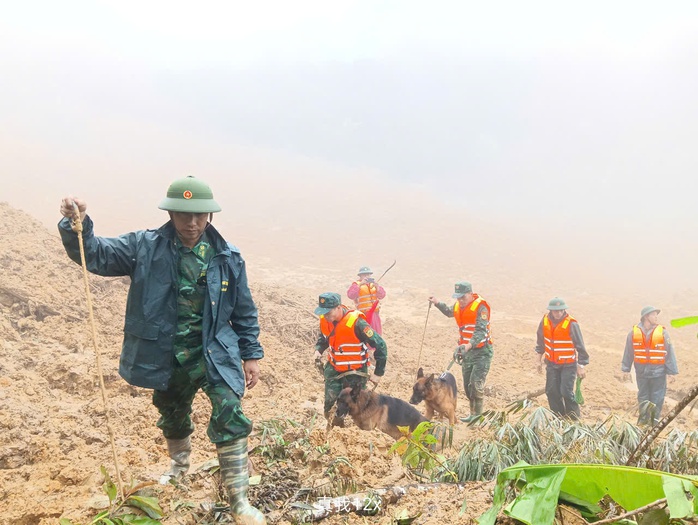 Cảnh khuyển tìm kiếm nạn nhân vụ lở núi ở Đà Nẵng: Hình ảnh đầy cảm động - Ảnh 12. Cảnh khuyển tìm kiếm nạn nhân vụ lở núi ở Đà Nẵng: Hình ảnh đầy cảm động - Ảnh 12.