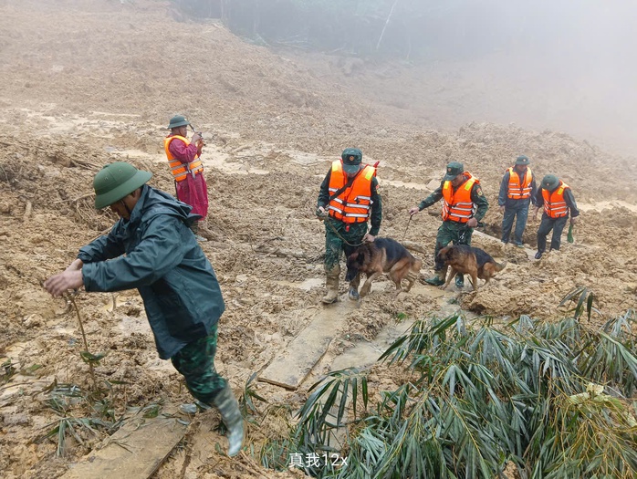 Cảnh khuyển tìm kiếm nạn nhân vụ lở núi ở Đà Nẵng: Hình ảnh đầy cảm động - Ảnh 14. Cảnh khuyển tìm kiếm nạn nhân vụ lở núi ở Đà Nẵng: Hình ảnh đầy cảm động - Ảnh 14.