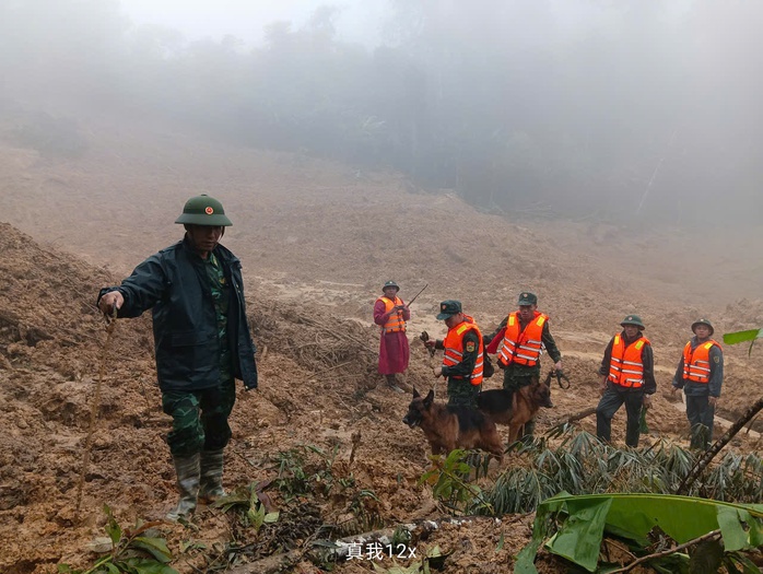Cảnh khuyển tìm kiếm nạn nhân vụ lở núi ở Đà Nẵng: Hình ảnh đầy cảm động - Ảnh 13. Cảnh khuyển tìm kiếm nạn nhân vụ lở núi ở Đà Nẵng: Hình ảnh đầy cảm động - Ảnh 13.