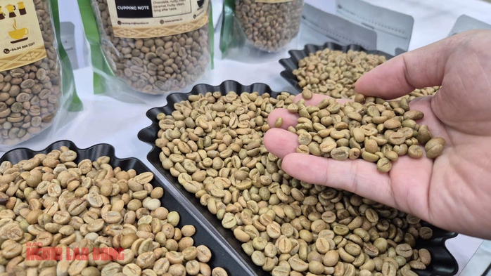 Giá cà phê hôm nay 17-11: Chủ tịch VICOFA nói gì khi giá cà phê giảm mạnh? - Ảnh 1.