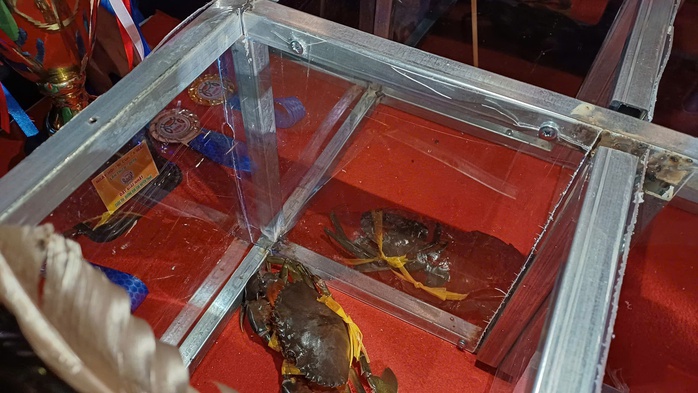 VIDEO: Người dân, du khách chen chân xem đua cua ở Cà Mau - Ảnh 2.