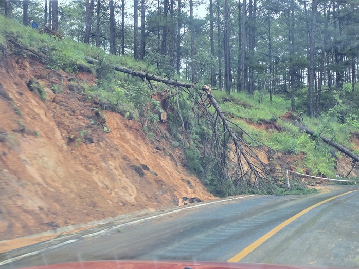 - Ảnh 1. - Ảnh 1.