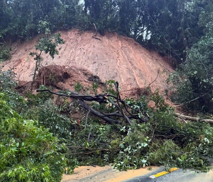 - Ảnh 2. - Ảnh 2.