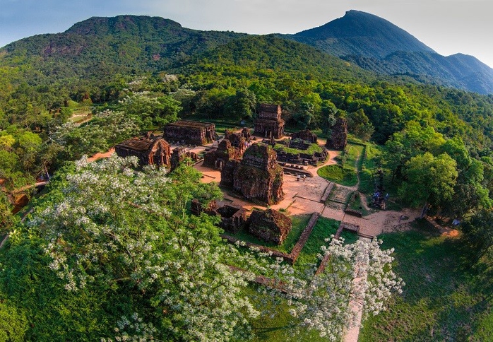 Chung tay bảo vệ hệ sinh thái rừng Mỹ Sơn - Ảnh 1.