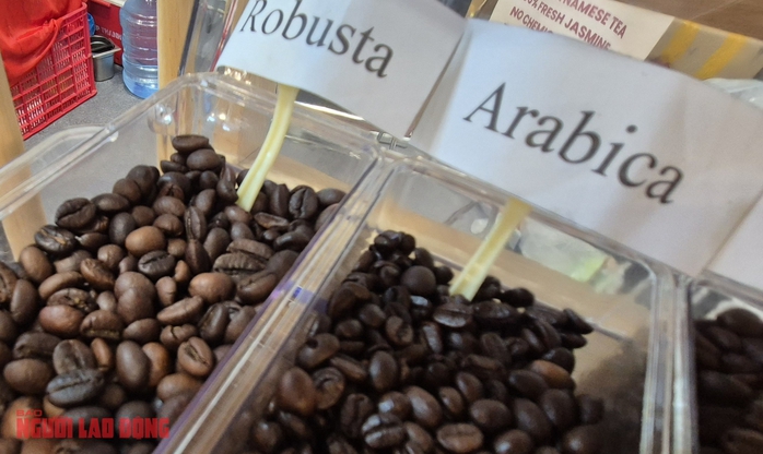 Giá cà phê hôm nay 19 - 11 tiếp tục tăng cao , Arabica gây sốt toàn cầu - Ảnh 1. Giá cà phê hôm nay 19 - 11 tiếp tục tăng cao , Arabica gây sốt toàn cầu - Ảnh 1.