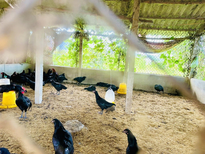 Giảm nghèo bền vững: Bài học kinh nghiệm từ những mô hình hay của thành phố Huế - Ảnh 1.