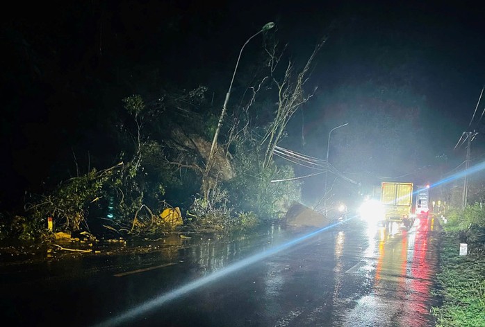 - Ảnh 4. - Ảnh 4.