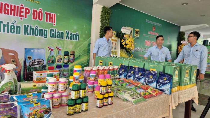 Rau thủy canh trồng ở TP HCM còn rẻ hơn rau chợ - Ảnh 1.