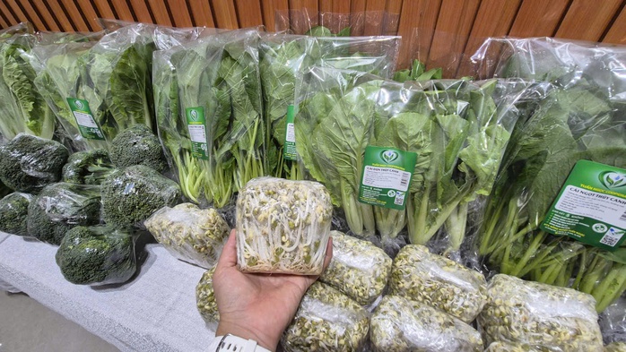 Rau thủy canh trồng ở TP HCM còn rẻ hơn rau chợ - Ảnh 2.