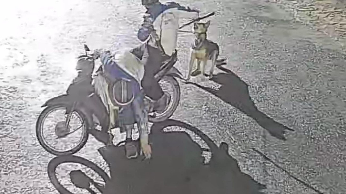 Bắt 4 đối tượng trong ổ nhóm trộm chó manh động - Ảnh 2.