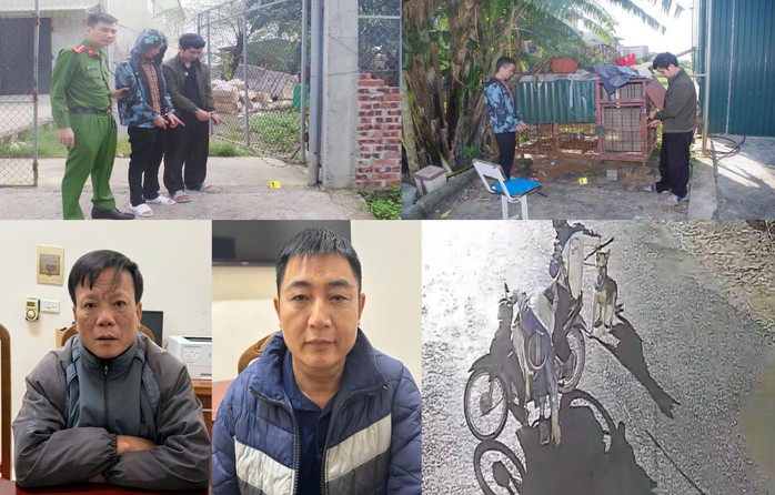 Bắt 4 đối tượng trong ổ nhóm trộm chó manh động - Ảnh 1.