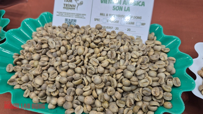 Giá cà phê hôm nay 2 - 11 tại Sơn La: Tăng cao chưa từng có - Ảnh 2. Giá cà phê hôm nay 2 - 11 tại Sơn La: Tăng cao chưa từng có - Ảnh 2.