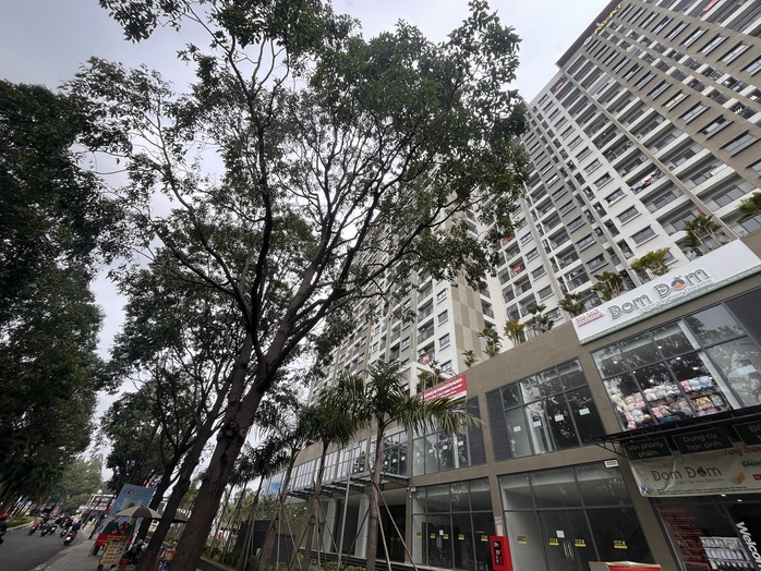 Loạt dự án nhà ở xã hội được vay gói tín dụng 120 ngàn tỉ đồng - Ảnh 1.