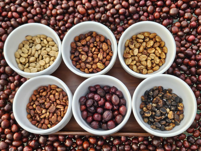 Giá cà phê hôm nay 21-11: Quay đầu tăng rất mạnh - Ảnh 1.