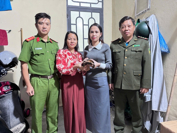 Phát hiện rùa qúy hiếm trước sân nhà , người dân kịp thời trình báo Cơ quan chức năng - Ảnh 1. Phát hiện rùa qúy hiếm trước sân nhà , người dân kịp thời trình báo Cơ quan chức năng - Ảnh 1.