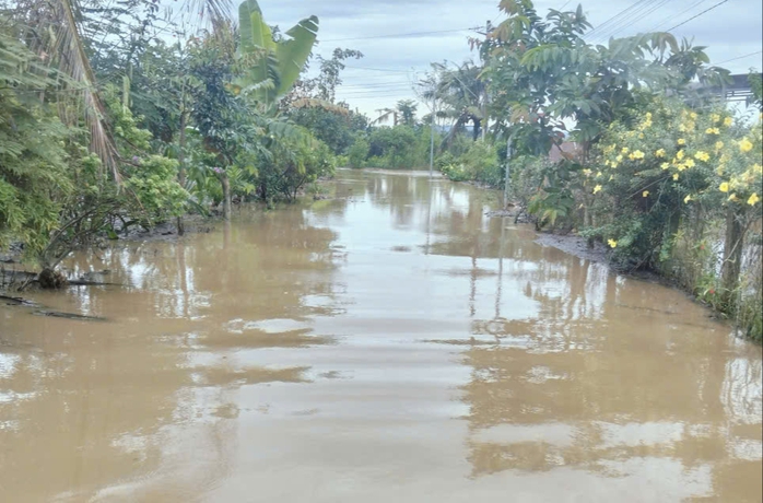 Thủy điện Trị An xả lũ gây ngập lụt , cắt điện hàng trăm hộ dân ven sông Đồng Nai - Ảnh 3.