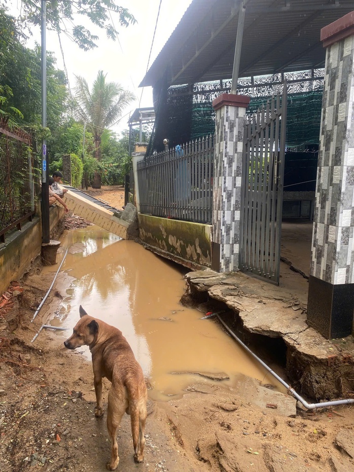 Hơn 5 km bờ sông Cái Phan Rang sạt lở, uy hiếp nhà dân - Ảnh 3.